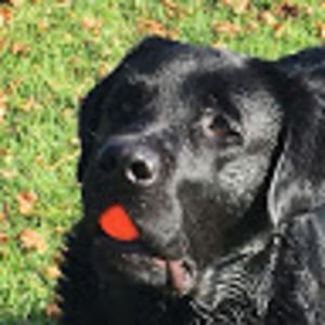 Meet your Posher, Shmerl